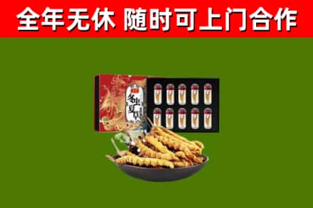 新乡烟酒回收冬虫夏草礼盒.jpg